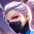 pingtech-vn5