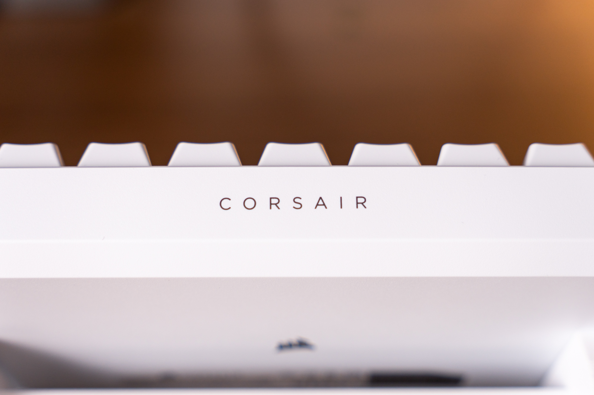 DSC01229